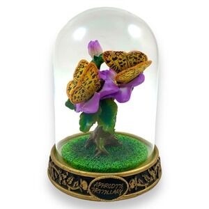 Vintage Aphrodite Fritillary butterflies in bell jar dome